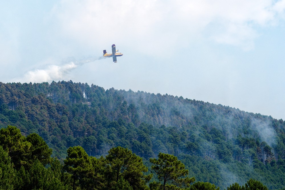 Πολύ υψηλός κίνδυνος πυρκαγιάς αύριο σε Αττική, Πελοπόννησο, Στερεά Ελλάδα, Θεσσαλία και Κρήτη