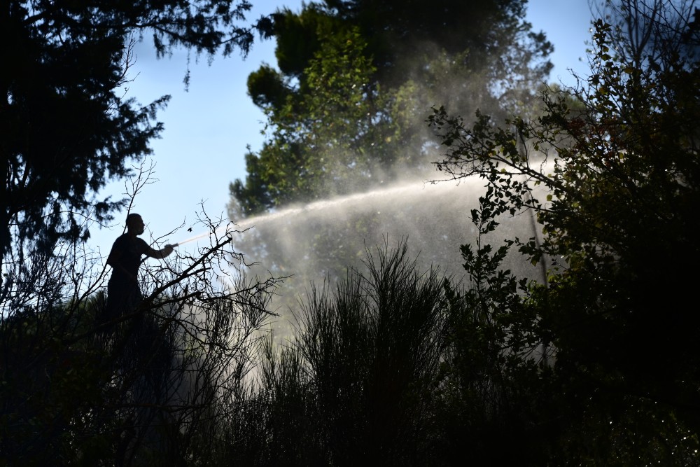 Φωτιά σε δασική έκταση στη Ρόδο - Μήνυμα από το 112