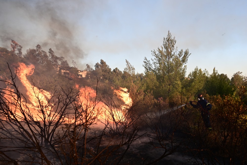 Φωτιά στα Τρίκαλα: μήνυμα από το 112 για εκκένωση του οικισμού Παναγία