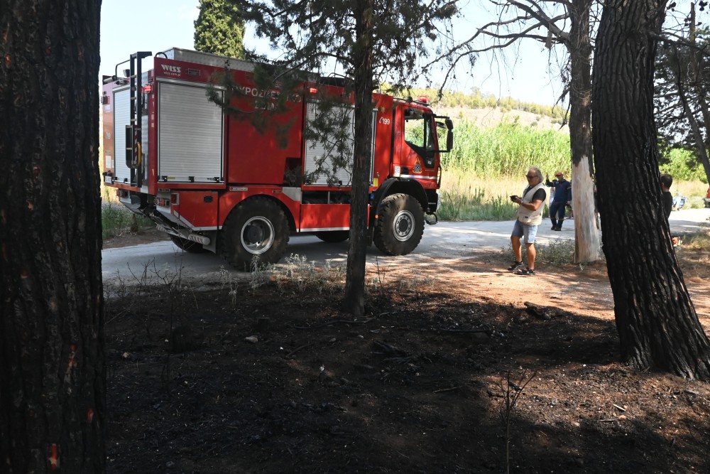 Πολιτική Προστασία: Πολύ υψηλός κίνδυνος πυρκαγιάς το Σάββατο σε Αττική, Πελοπόννησο, Δυτική και Στερεά Ελλάδα