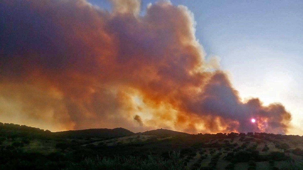 Κύπρος: Πυρκαγιά μήκους 20 χιλιομέτρων σε εξέλιξη σε Λεμεσό και Πάφο
