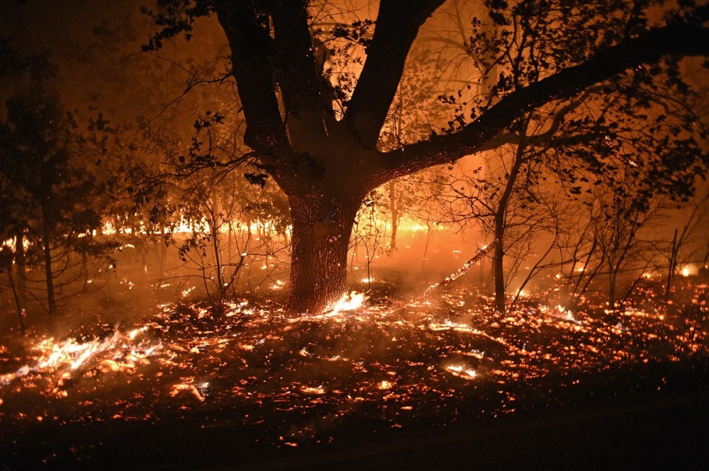 ΗΠΑ: Σε κατάσταση έκτακτης ανάγκης η Καλιφόρνια από τις δεκάδες πυρκαγιές