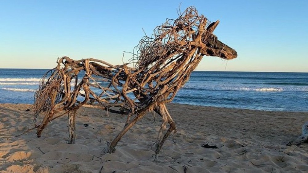 Γλυπτά ζώα από ξύλα που ξεβράζει ο ωκεανός