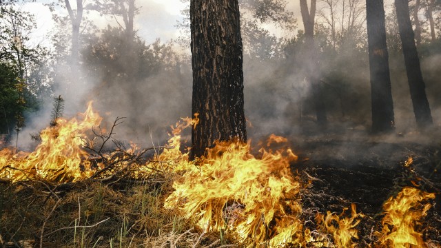 Φλέγεται η Σιβηρία: 31 δασικές πυρκαγιές - Απομακρύνονται παιδιά από κατασκηνώσεις