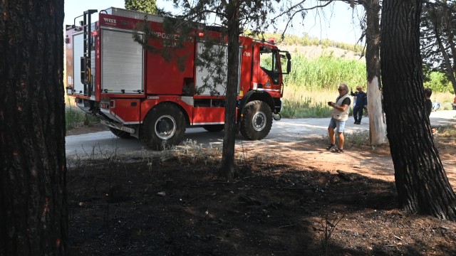 Πολιτική Προστασία: Πολύ υψηλός κίνδυνος πυρκαγιάς το Σάββατο σε Αττική, Πελοπόννησο, Δυτική και Στερεά Ελλάδα