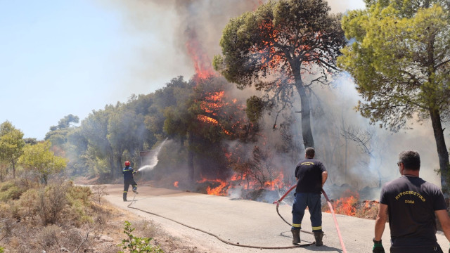 Φωτιά στην Κερατέα: Παραλείψεις στη συντήρηση του δικτύου του ΔΕΔΔΗΕ βλέπει η Πυροσβεστικη – Δυο συλλήψεις υπαλλήλων