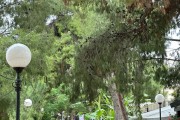 «Πανικός» στο Χαϊδάρι για τον Τσίπρα: «Κοσμοσυρροή» στο… πεζοδρόμιο (Φωτό)