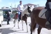 Ο Κασσελάκης έκανε περιοδεία στην Αργολίδα... πάνω σε άλογο