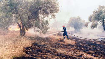 Σοβαρότητα και εθνική στρατηγική απέναντι στις πυρκαγιές Σοβαρότητα και εθνική στρατηγική απέναντι στις πυρκαγιές