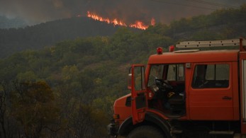 Μετανάστες στον Έβρο: Αμείλικτα ερωτήματα ζητούν απαντήσεις Μετανάστες στον Έβρο: Αμείλικτα ερωτήματα ζητούν απαντήσεις