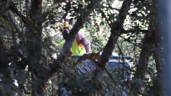 «Ναι» από το Συμβούλιο της Επικρατείας για το μετρό των Εξαρχείων «Ναι» από το Συμβούλιο της Επικρατείας για το μετρό των Εξαρχείων